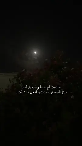 ‏مادمت لم تخطيء بحق أحد  ‏دع الجميع يتحدث و افعل ما شئت .