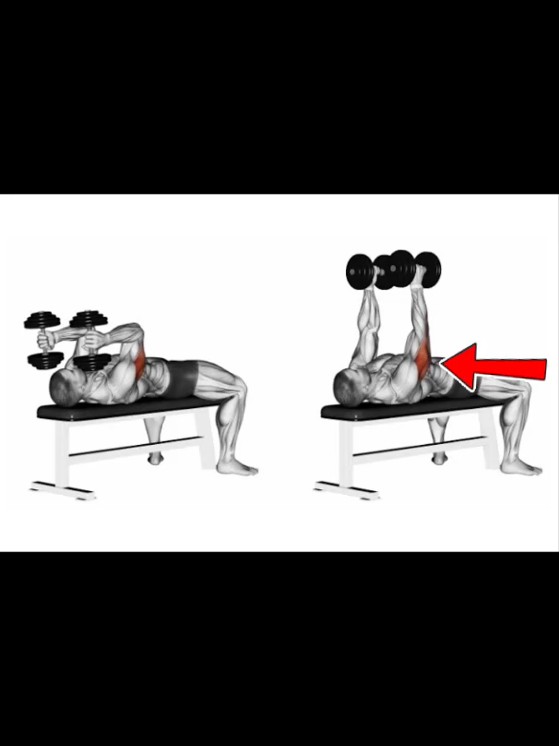 Triceps on Fire #motivation #workout #triceps #biceps #Fitness #exercise #ifbb #ifbbelitepro #muscles #musclemotivation #musclegain #bodybuildingmotivation #bodybuilder #bodybuilding #chevronnutrition #gorillawear #armsworkout #gainz #LEG #LEGWORKOUT #Triceps #tricepsworkout #tricepsexercise #tricepsday #Tricepstips