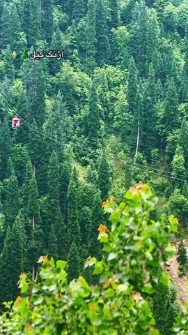 سچ بتانا ، کتنا انتظار کیا اس پر بیٹھنے کے لیے ؟🌲🏔️ #kashmir #kashmirseries #standwithkashmir #neelumvalley #arangkel #arangkel_kashmir_top #mountainsview 