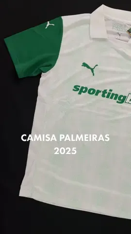 Camisa Palmeiras 2025 - Disponível ✅ #palmeiras #camisadetime #futebolbrasileiro #mundial 