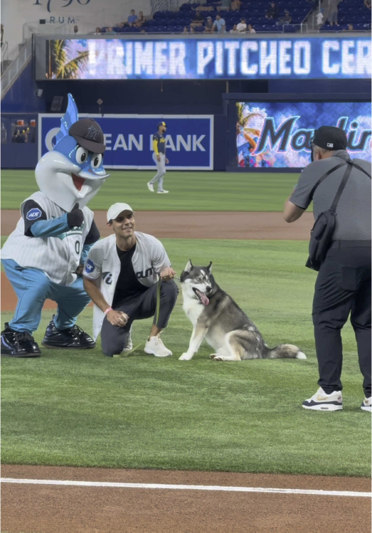Blue 🤝 MLB debut  #dogsoftiktok #dogsoftiktokviral #baseball #MLB #dogs #husky #huskies #doglover 