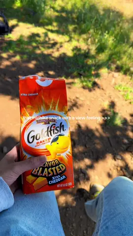 these goldfish fuel me #california #californiaadventure #californiacheck #sanfrancisco #bayare #Hiking #hiker #mttamalpais #goldfish #creatorsearchinsights #fyp 