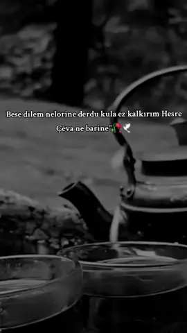 Bese dılem nelorine derdu kula ez kalkırım hesre çava ne barine