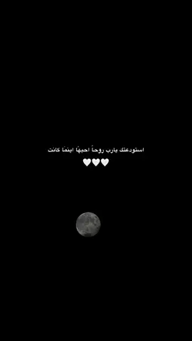🤍🩵#👤 #R #🤍 #استودعتك #يارب❤️ #🥹 