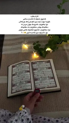 کەمێک ئەکتیڤ بن🥀#امین_یارب_العالمیــــــــــن🤲🏻❤️ #Accc #لایکو_کۆمێنت_فۆڵۆلەبیر_مەکەن #هەولێر_سلێمانی_دهۆك_ڕانیه_کەرکوک #اللهم_صلي_على_نبينا_محمد #foryoupage #کەمئک_ئەکتیف_بن 