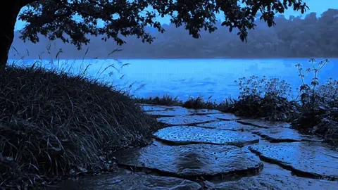 stay one minute here; take a deep breath and relax 💙 #bluehour #relaxing #darkambient #ambientmusic #oneheart #fyp 