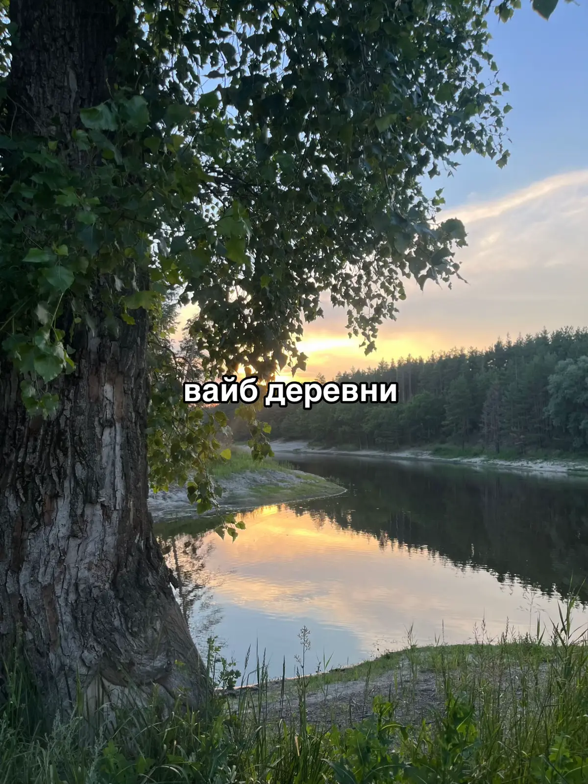 #тамбов #рекомендации #рек #актив #глобальныерекомендации #деревня #reccomendation 