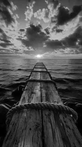 #fypシ゚viral🖤tiktok #BeniÖneÇıkart #İnsanlaracımasız #STORYLİK✍️🏼🕊🥀🖤 #AŞK #i̇haneti̇nbedeli̇ #GenshinImpact33 #hayalkirikligi #keşfet #hikayedenadamlar #turkiyekesfet #ayrılık #LiveForTheChallenge #🎼🖤✍️🏼🎧🚬📌 