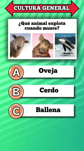 Quiz cultura general! #quiz #culturageneral #adivina #preguntasyrespuestas #preguntas #conocimiento #LearnOnTikTok #trivia #quiztime 