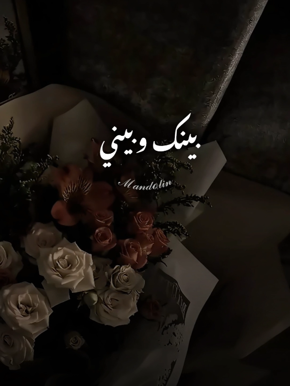 واقفه ليه الايام كده💔 #mandolin🍂  #تصميم_فيديوهات🎶🎤🎬 