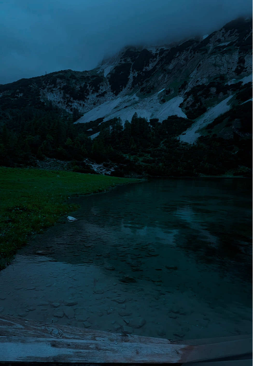 🩶🩶🩶#nature #darkaesthetic #calm #naturephotography #foryоu #aesthetic #relax 