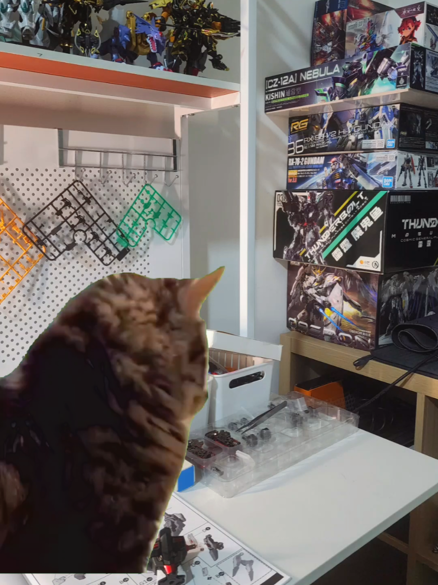 #gundam #gundambuilder #modelkit #gunpla #thirdpartygunpla #memestiktok #Meme #MemeCut #CapCut 