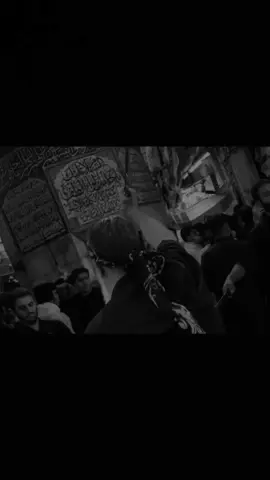 #كربلاء_المقدسة 