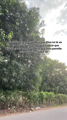 🥹❤️‍🩹 #Dios #fyp #fe #viral #amen #jovenescristianos #cristianos #resiliencia #Jesus #amordeDios 
