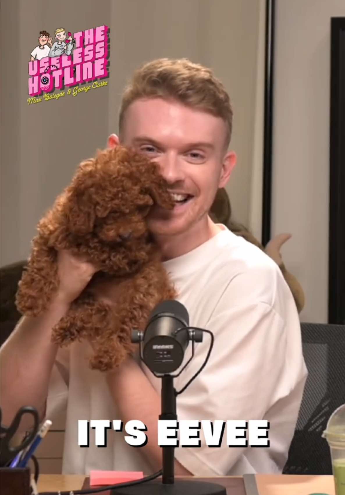 Meet our newest (cutest) co-host & hear what REALLY happened when Max met THE KING 👑🐾  Hear this & a lot more in the new episode that’s OUT NOW ⏯️ #theuslesshotline #georgeclarke #maxbalegde  @Max_Balegde @George Clarke 