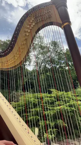 Relaxxxxxx  - #harp #harpe #music 
