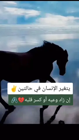 #خيل_وخياله🐎 #خيل_عربي_اصيل🐎🐎  #خيل_حصان_فرس_مهره_خيول_امهار_العاديات  #المصمم_بوهيبه🎬بوهيبه🎵  #اقتباسات_عبارات_خواطر🖤🦋 