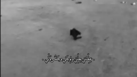 عفتني بعلّتي ونوحي😓!، #عفتني_بعلتي_ونوحي_وجمر_وني #ألمُصَممة_أيـة #اللهم_عجل_لوليك_الفرج 