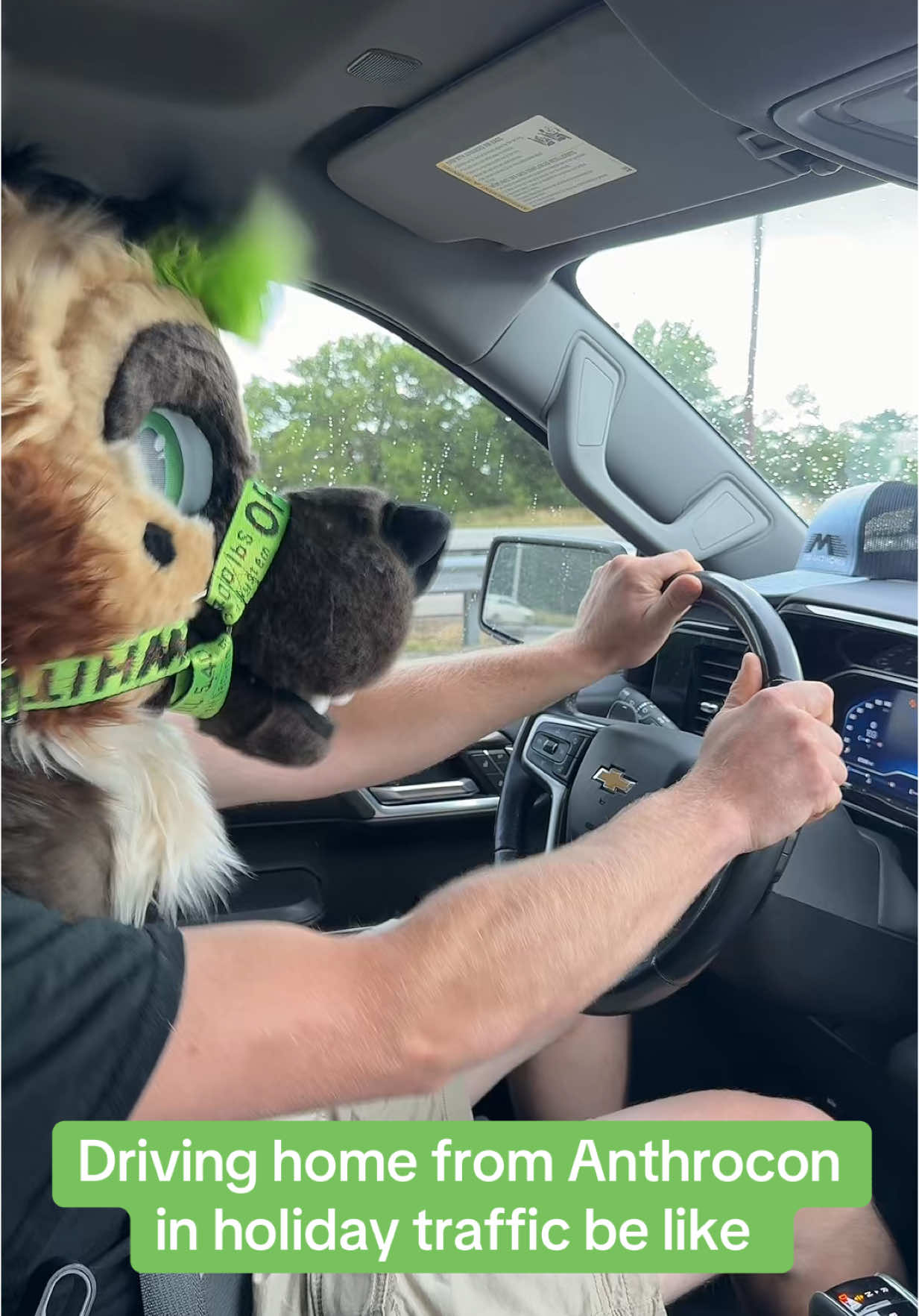 Filmed and edited this while I wait to pay for my million dollar toll #furrycommunity #furryfandom #furriesoftiktok #furrytiktok 