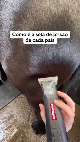 #prisao #sela #paises #foryoupage 