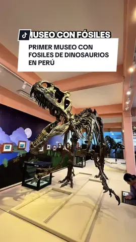 PRIMER MUSEO DE FÓSILES DINOSAURIOS EN LIMA 🦖🦕 📍Universidad Ricardo Palma - Surco 🔰 Entradas ✅ Niños/as y Estudiantes: S/8.00 ✅ Entrada general: S/12.00 👁️ Recorrido guiado para una sala: S/20.00 (7 personas como máximo) 👁️ Recorrido guiado para todas las salas: S/30.00 (7 personas como máximo) ⏰ Horario de atención 👉🏻 Martes a domingo : 10 a.m. – 1 p.m. y 2 p.m. – 5 p.m. #Dinosaurios #MuseosLima #planeslima #jurassicworld #limaperú 