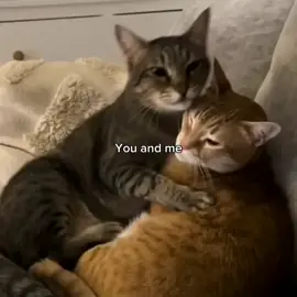 you and me  #phrases #loveyou #us 