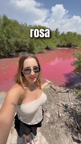 la laguna está rosa💗 #parati #foryou #holbox #laguna #rosa 