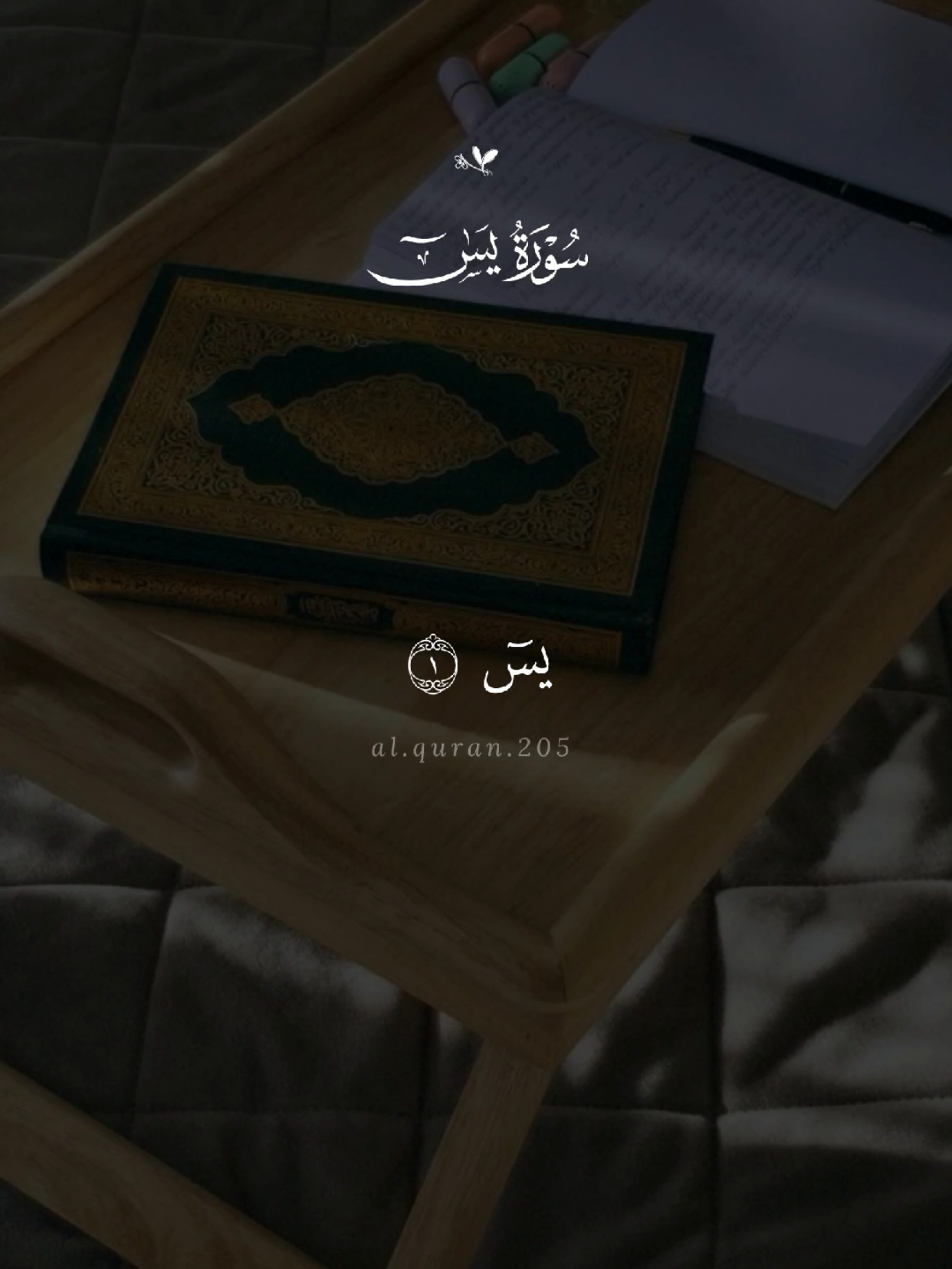 سورة يس 🤍 #سورة_يس #ماهرالمعيقلي  #quran #القرآن #quran_alkarim #القران_الكريم #qu_ran_n #تلاوة_خاشعة #qu_ran_n؛؛قرآن #chahr_205 #اجر_لي_ولكم #islamic_video #صدقه_جاريه #quran_114st 
