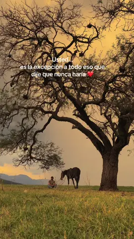 Algún día te encontrare ❤️🤠 #amor #romantico #joansebastian #enamorados #vaquero #rancheras 