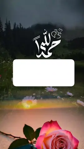 اللهم لك الحـــــــمد تـــم نـــورك فلك الحـــــــمد.. 🤲🤍🤍#الحمدلله_دائماً_وابداً #اللهم_لك_الحمد_ولك_الشكر #دعاء #fup #foreyoupage #fupシ #foryou #تصاميم_ورد🌸 