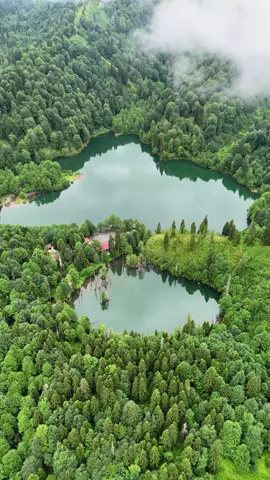 Artvin-Borçka -Karagöl-