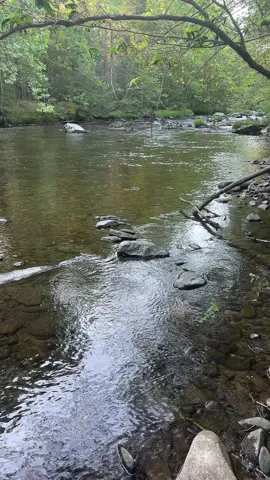 #peacefull