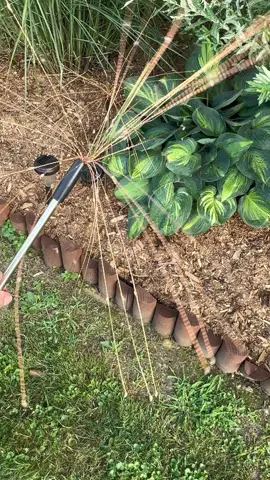 These solar garden firework fairy lights, just the touch of magic that I need for my garden and patio area. I put these garden solar lights all around my plants and dogwood trees for a burst of firework light. Each post has 120 LED fairy lights #solargardenlights #solarlights #outdoorlights #dealsforyoudays #gardenwhimsey #gardenlights #fairylights #fireworksolarlights #magicalgarden #dandelionlights 