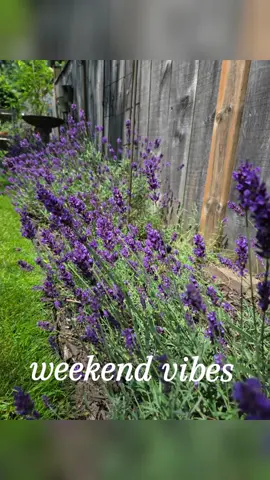 Weekend Vibes Summer 2025 * Breakfast  * Sunfest * Saturday Drive * Family BBQ * So Much More! #familytime #Summer #WeekendVibes 