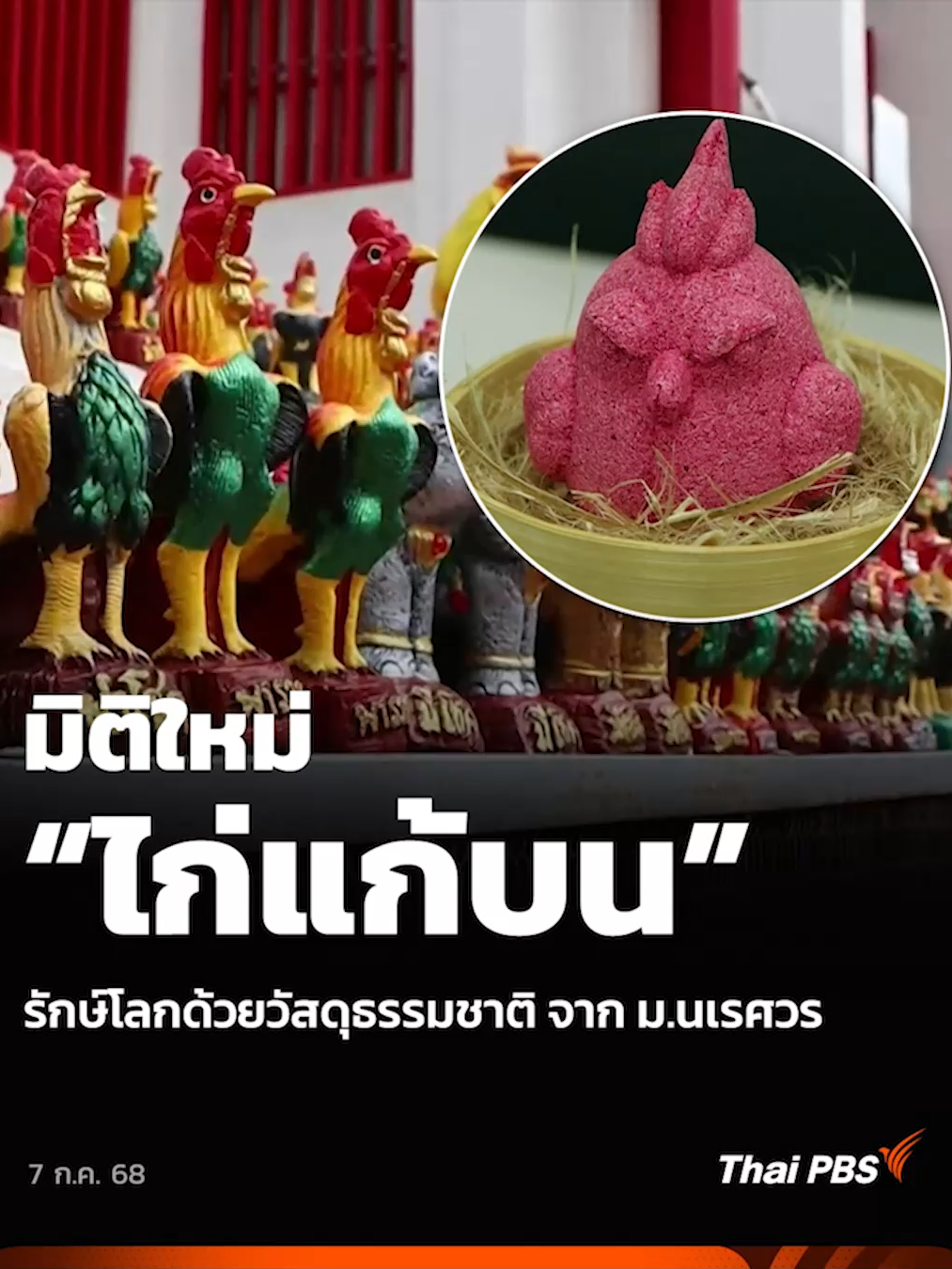 รูปปั้น #ไก่ นับพันตัว ถูกวางเรียงรายรอบ ศาลสมเด็จพระนเรศวรมหาราช ภายในพระราชวังจันทน์ #พิษณุโลก กาลเวลาผ่านไป เริ่มผุพัง เป็นขยะที่ไม่สามารถย่อยสลายได้ กระทบต่อสิ่งแวดล้อม ทีมนักวิจัยจาก #มหาวิทยาลัยนเรศวร จึงริเริ่มพัฒนา “ไก่แก้บนรักษ์โลก” ขึ้นมา โดยใช้วัสดุเหลือทิ้งทางการเกษตร #ThaiPBS #ข่าวไทยพีบีเอส #ข่าวที่คุณวางใจ