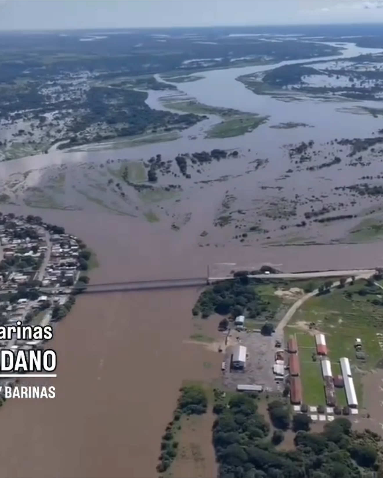 En #video se observa como se encuentra el Río Apure en las adyacencias del puente José Cornelio Muñoz ubicado entre la población de Bruzual, municipio Muñoz (Apure) y Puerto de Nutrias, municipio Sosa (Barinas). @aldiaconbarinas 🆘 • #aldiaconbarinas #barinas #barinasvenezuela #sosa #bruzual #apure #rioapure #ciudaddenutrias 