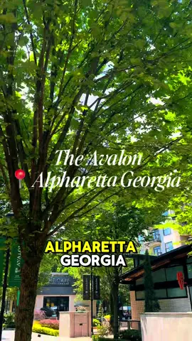 The Avalon in Alpharetta has it all! 🛍️🍝🍿  #avalon #alpharetta #thingstodoinatlanta #summertime 