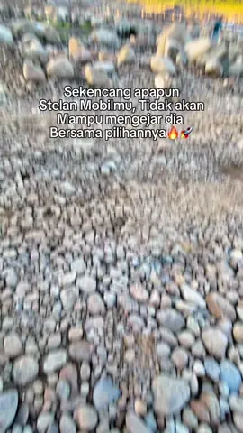 #fyp 