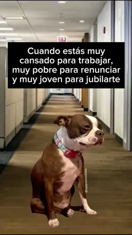 😂😂😂 #humor #trabajo #oficina #humoreneltrabajo #funnyvideos #parati 