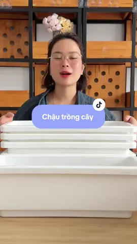 Chậu trồng cây , trồng hoa #chautrongcay #chautronghoa #chautrongcaycanh #chautrongrau #xuh #xuhuong #xuhuongtiktok #xuhướng #xuhuongtiktokk #xuhuongtiktok2025 