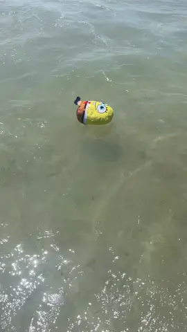 in his natural habitat #spongebob #fyp #foryou #beach #fun #bob #hi #float #swim #sponge 