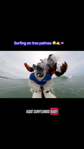 Surfing en tres palmas 🤙🇵🇷🫶 #boricua #puertorico #fyp #foryou #foryoupage #viralvideo #makeitvirаl #ai #foryourpage 