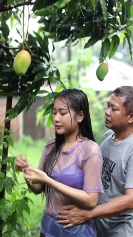 Udah Musim Ujan, jadi dingin.. 🥺🥺 #fyppppppppppppppppppppppp #fypシ #fyp #wanitacantik #buahbuahan #wanitahebat #buahmangga #mangga #manggarai_flores_ntt 