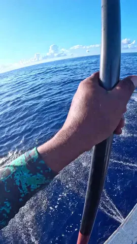 Pole & Line: Because We’re Not Monsters👊🎣 #fishing #thelifeofafisherman #fyp #foryoupage 