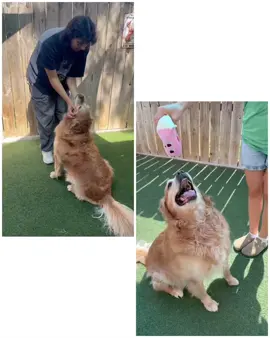 Oakley just want to dance!!!