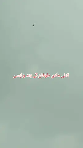 عامر بلوچ 