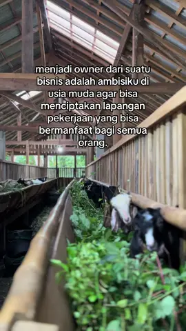 bismillah🤲🏻🤲🏻#fyp #kata #masukberandafyp #storytime #niatku #fyppppppppppppppppppppppp #pembisnismuda #peternakmuda #sobatngaret #peternakkambingmuda #kambingqurban #kambingindonesia #kambing 
