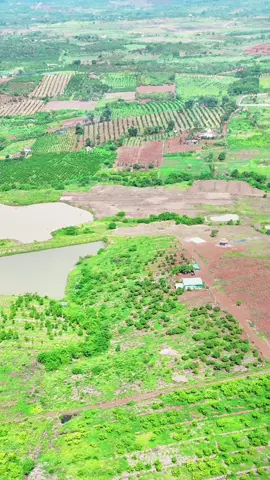 Hành trình chia sẻ làm farm Phần 15 #nongnghiep#xuhuong#khoinghiep #dongluc #vtromedia #nongsanxuatkhau #nongsansach #trongchuoi #xuấtnhậpkhẩu #xuhuong2023 