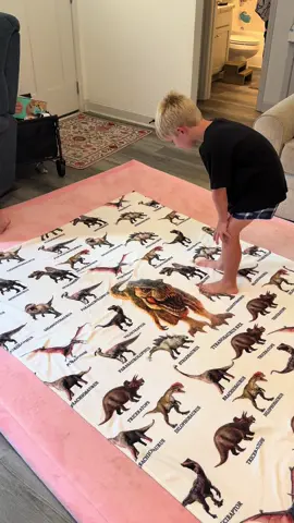 This dino blanket isn’t just cute—it’s soft, cozy, and perfect for snuggling. My boys love naming all the dinos while they hang out under it. We got the large size so they can both fit, and it washes great too! Perfect for any little dinosaur lover 🦖🦕💚 #TikTokShopFinds #DinosaurBlanket #CozyVibes #KidsRoomEssentials #TikTokMadeMeBuyIt #SoftBlanket #FamilySnuggles #DinoLovers #MomLifeMustHave #LargeBlanket #dinosaur #dino #dinotok #dealsforyoudays 