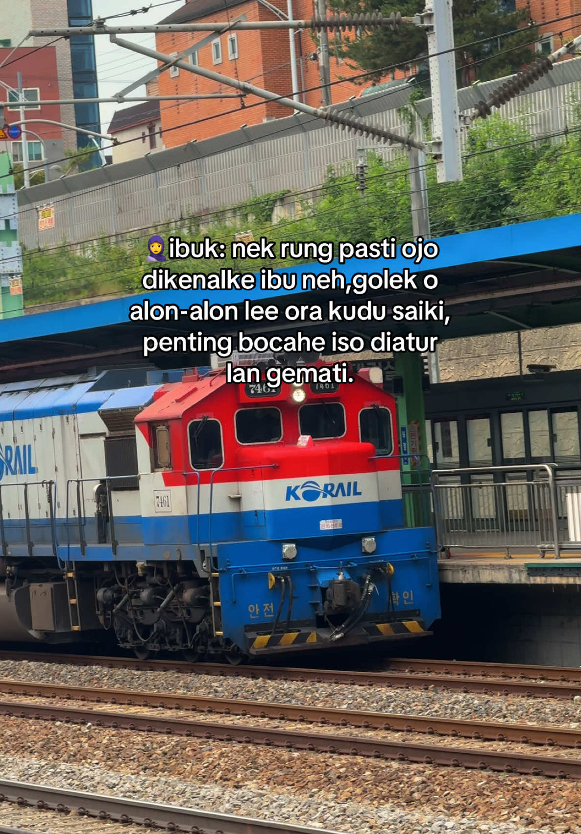 manut pusat